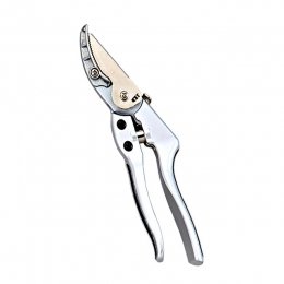 Cut and Hold Pruning Shears