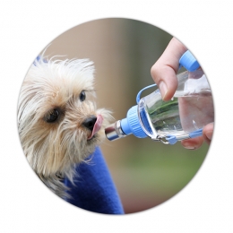 Pet Outdoor Water Drinking Bottle