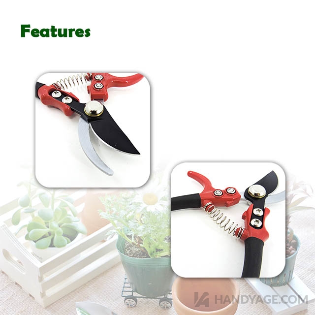 6” Floral Bypass Pruning Shears