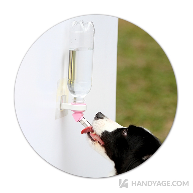 Universal Wall Sticker Pet Water Nozzle