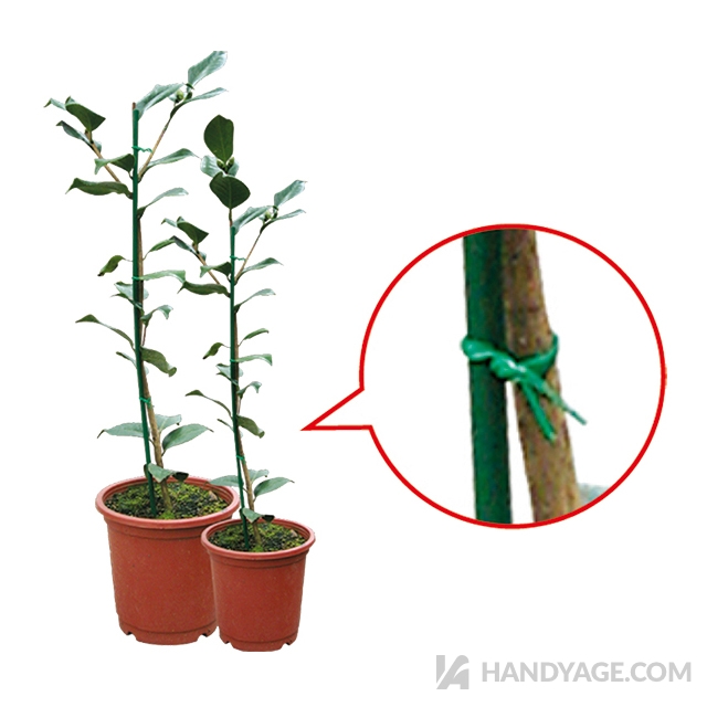 Durable Plant Support Stick