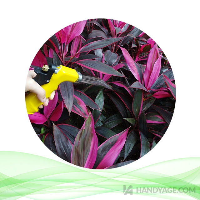 Colorful Garden Hose Nozzle with Rear Control