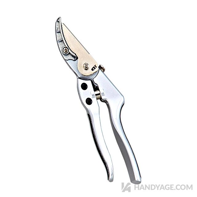 Cut and Hold Pruning Shears